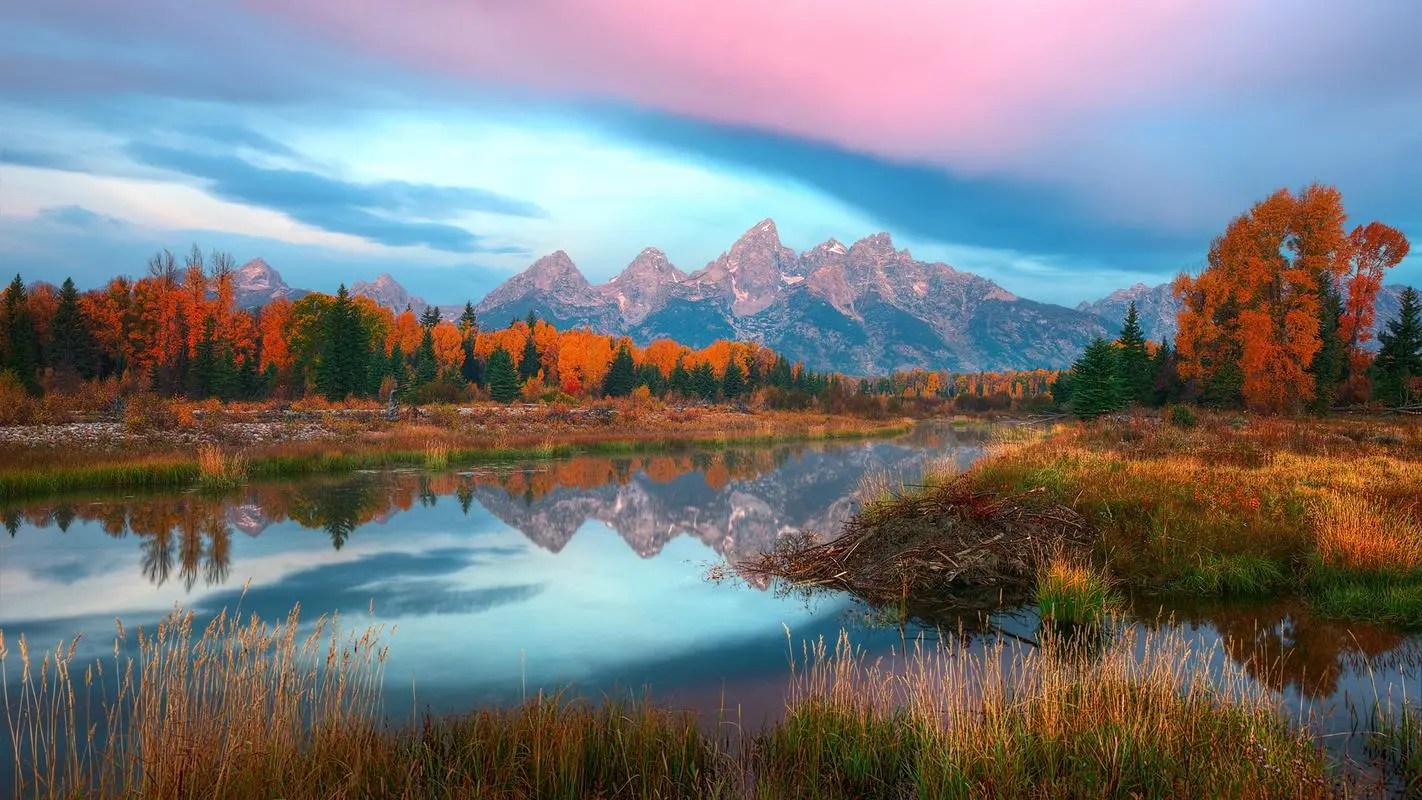 高性能智能创意